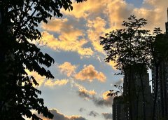 2025上半年，中國(guó)企業(yè)出海刷新全球副本：更猛、更強(qiáng)、更聰明