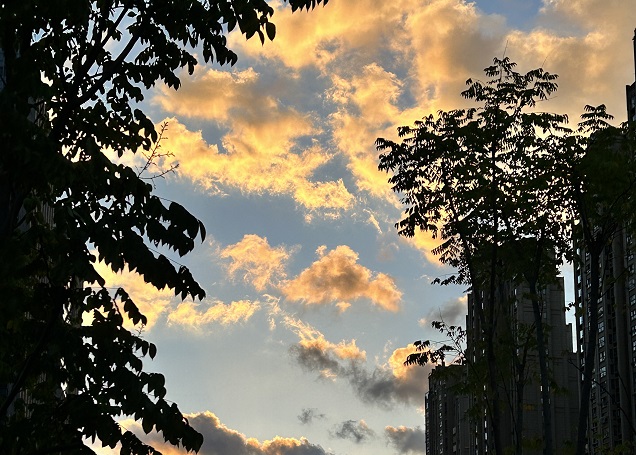 尼泊爾公司注冊(cè)常見(jiàn)法律實(shí)體類型詳解