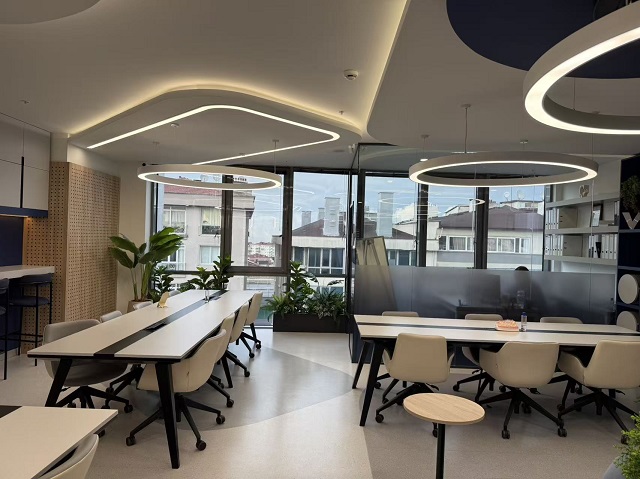 土耳其公司注銷(xiāo)：這些風(fēng)險(xiǎn)絕不能忽視